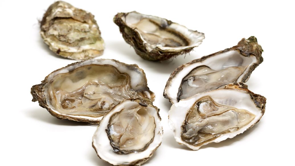 牡蛎壳的功效与作用