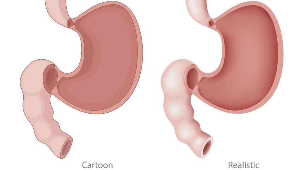 Myristic acid uses | Shaanxi BLOOM Tech Co., Ltd Myristic acid uses | Shaanxi BLOOM Tech Co., Ltd