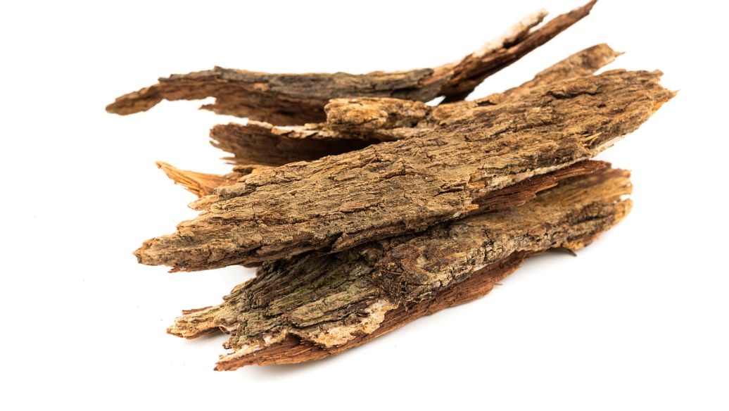 狗脊的功效与作用