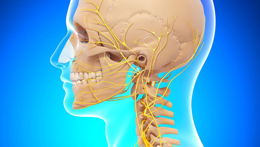 Ziconotide uses | Shaanxi BLOOM Tech Co., Ltd 
