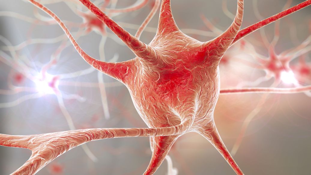 Hexarelin buy | Shaanxi BLOOM Tech Co., Ltd Hexarelin buy | Shaanxi BLOOM Tech Co., Ltd