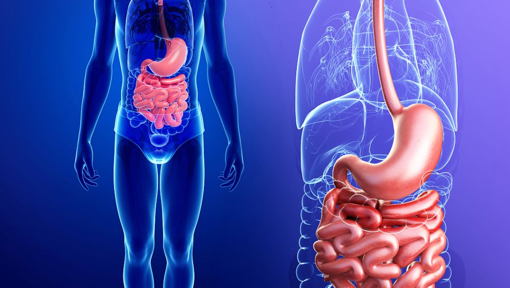 Pinealon synthesis process | Shaanxi BLOOM Tech Co., Ltd Pinealon synthesis process | Shaanxi BLOOM Tech Co., Ltd