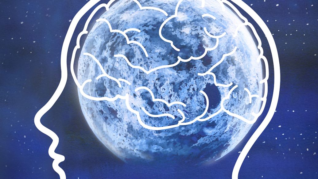 Alarelin action | Shaanxi BLOOM Tech Co., Ltd Alarelin action | Shaanxi BLOOM Tech Co., Ltd