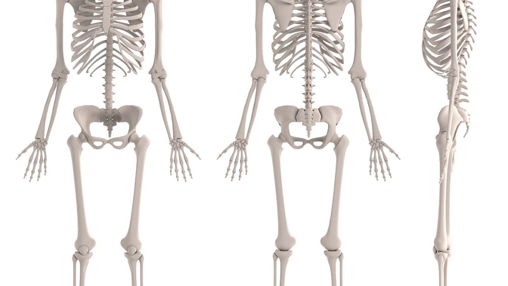 Guanosine 5'-monophosphate disodium salt uses | Shaanxi BLOOM Tech Co., Ltd Guanosine 5'-monophosphate disodium salt uses | Shaanxi BLOOM Tech Co., Ltd