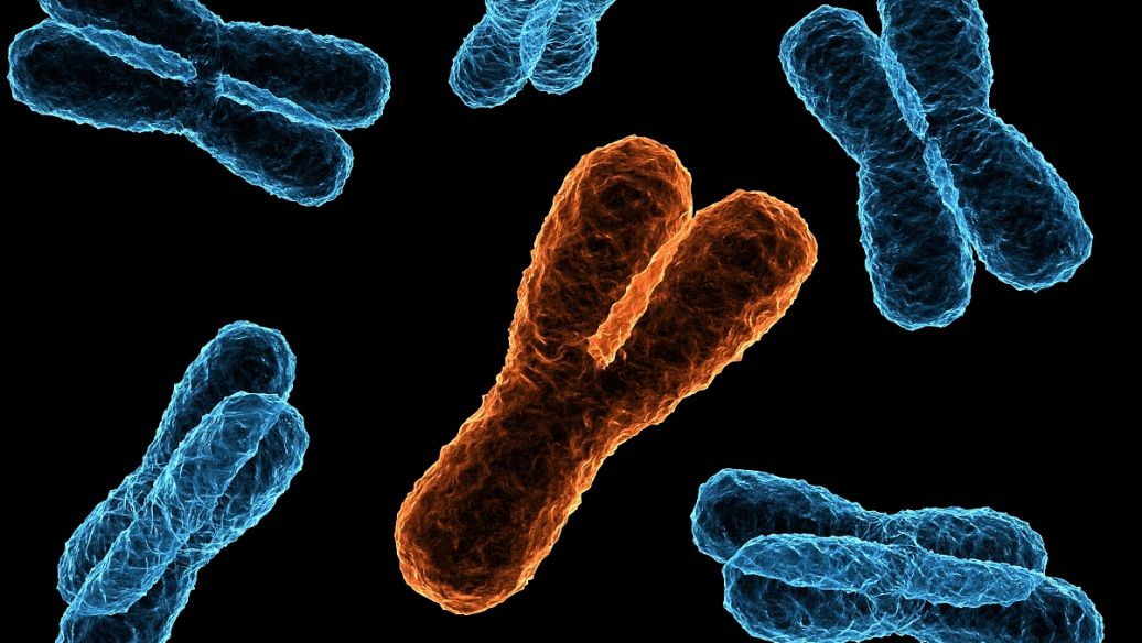 SLU-PP-332 Potential Therapeutic Applications | Shaanxi BLOOM Tech Co., Ltd