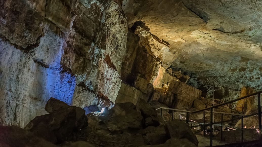 酸浆草的功效与作用