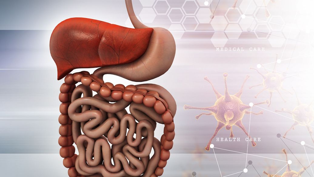 Elsiglutide uses | Shaanxi BLOOM Tech Co., Ltd Elsiglutide uses | Shaanxi BLOOM Tech Co., Ltd