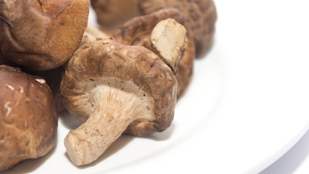 黄连的功效和作用