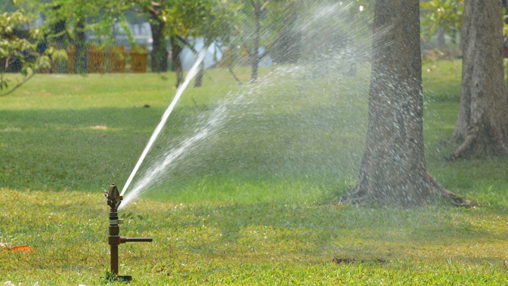 Fluralaner critical | Shaanxi BLOOM Tech Co., Ltd