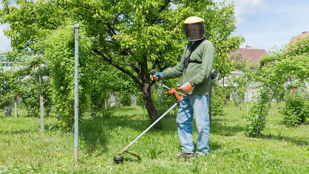 Imidazole uses | Shaanxi BLOOM Tech Co., Ltd Imidazole uses | Shaanxi BLOOM Tech Co., Ltd