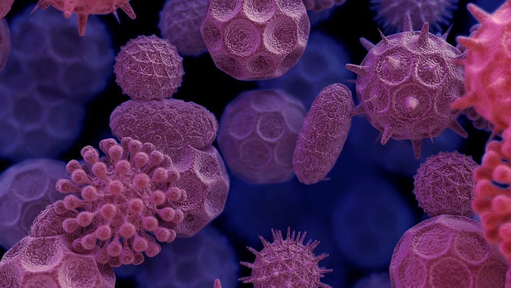 4-Pyrrolidinopyridine uses CAS 2456-81-7 | Shaanxi BLOOM Tech Co., Ltd 4-Pyrrolidinopyridine uses CAS 2456-81-7 | Shaanxi BLOOM Tech Co., Ltd