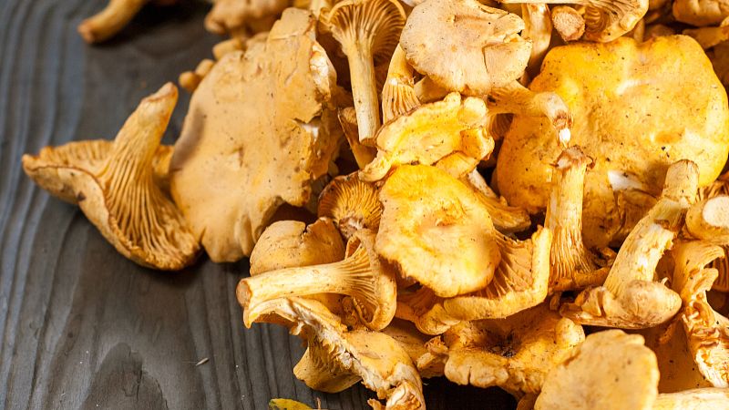 建曲的功效与作用