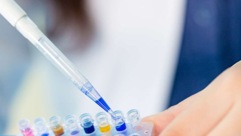 Dimidium bromide DNA | Shaanxi BLOOM Tech Co., Ltd