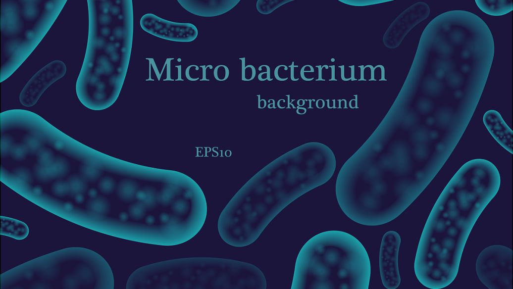 5-Amino-1MQ buy | Shaanxi BLOOM Tech Co., Ltd 5-Amino-1MQ buy | Shaanxi BLOOM Tech Co., Ltd