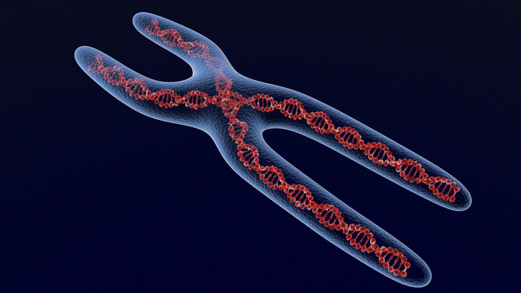 5-Amino-1MQ price | Shaanxi BLOOM Tech Co., Ltd