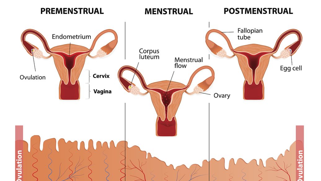 Methylergonovine bleeding | Shaanxi BLOOM Tech Co., Ltd Methylergonovine bleeding | Shaanxi BLOOM Tech Co., Ltd
