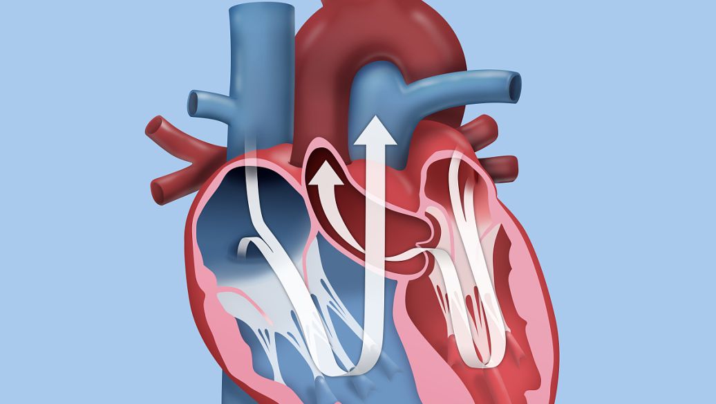 SLU-PP-332 for sale | Shaanxi BLOOM Tech Co., Ltd