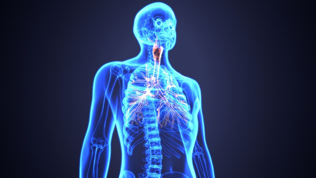 SLU-PP-332 cost | Shaanxi BLOOM Tech Co., Ltd