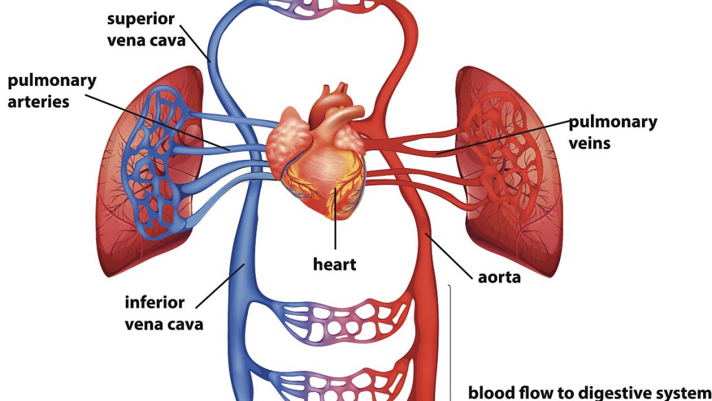 Bioglutide NA-931 Other | Shaanxi BLOOM Tech Co., Ltd Bioglutide NA-931 Other | Shaanxi BLOOM Tech Co., Ltd