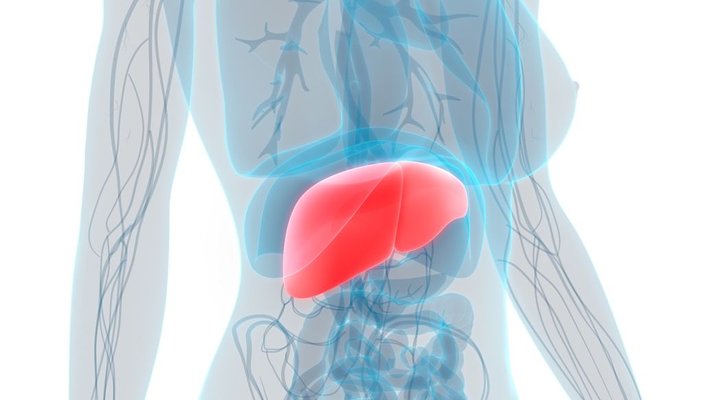 GABA uses | Shaanxi BLOOM Tech Co., Ltd GABA uses | Shaanxi BLOOM Tech Co., Ltd