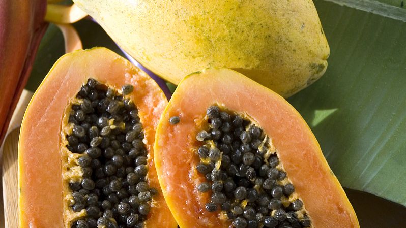 臭药的功效和作用