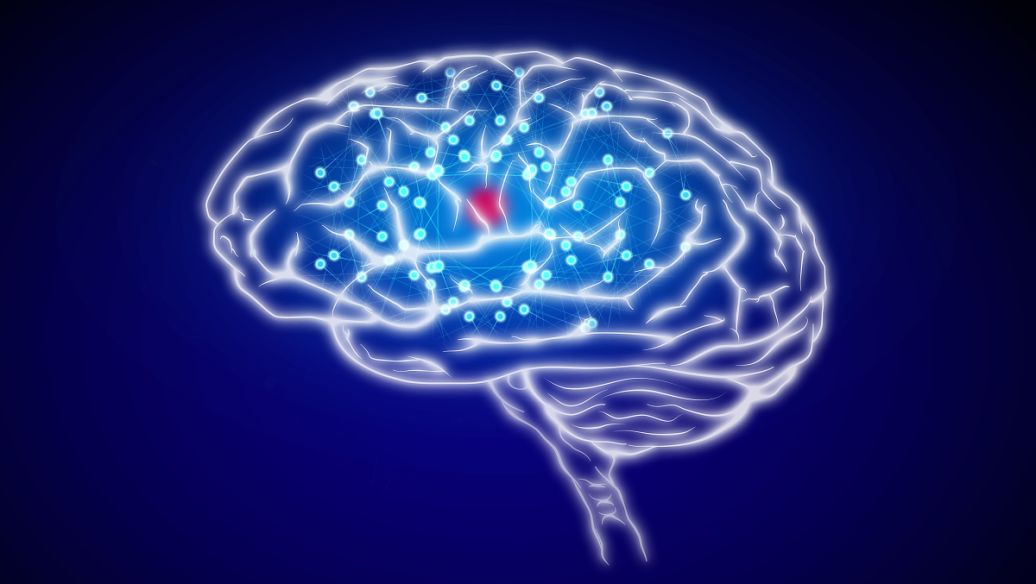 SLU-PP-332 Resilience | Shaanxi BLOOM Tech Co., Ltd SLU-PP-332 Resilience | Shaanxi BLOOM Tech Co., Ltd