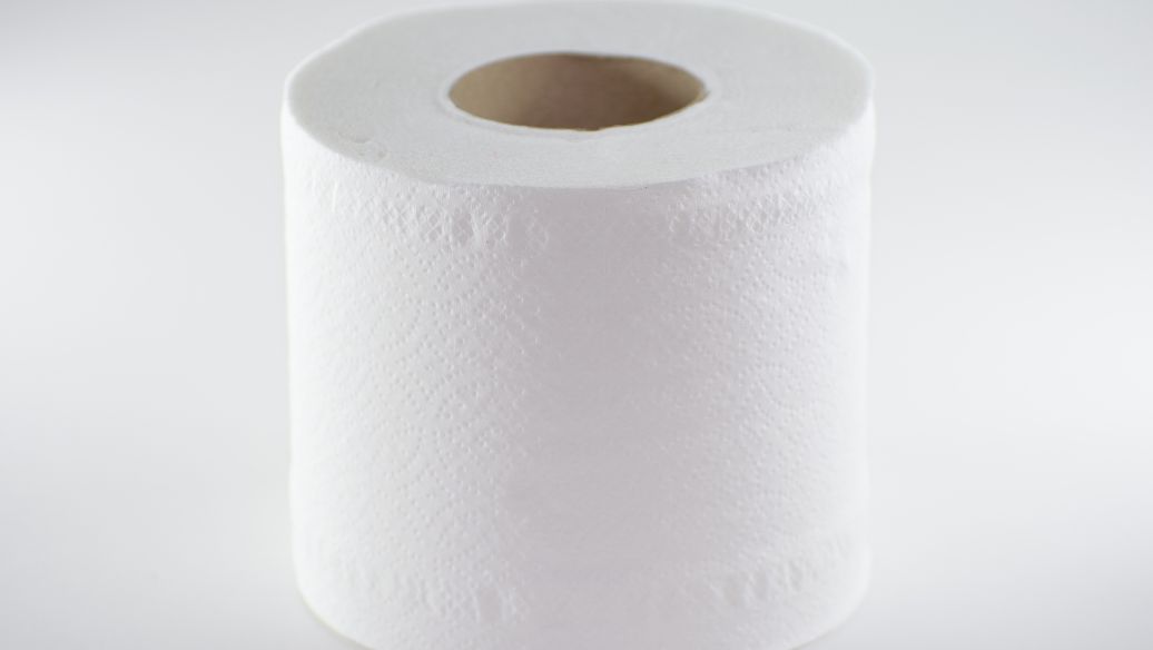 藻类纤维 纺织纱线