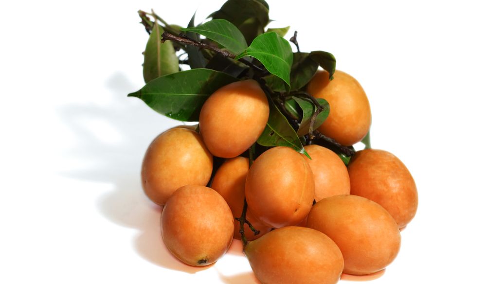 草寇的功效与作用