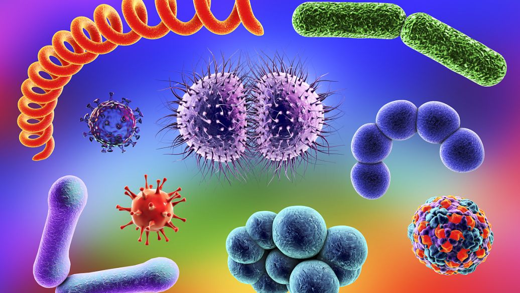 SLU-PP-332 online | Shaanxi BLOOM Tech Co., Ltd