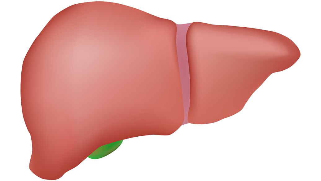 Sodium Erythorbate uses | Shaanxi BLOOM Tech Co., Ltd Sodium Erythorbate uses | Shaanxi BLOOM Tech Co., Ltd