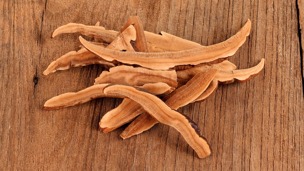 鸡内金的作用和功效