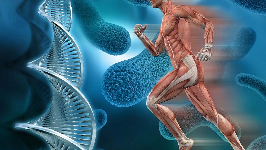 SLU-PP-332 Promoting Mitochondrial Development | Shaanxi BLOOM Tech Co., Ltd SLU-PP-332 Promoting Mitochondrial Development | Shaanxi BLOOM Tech Co., Ltd