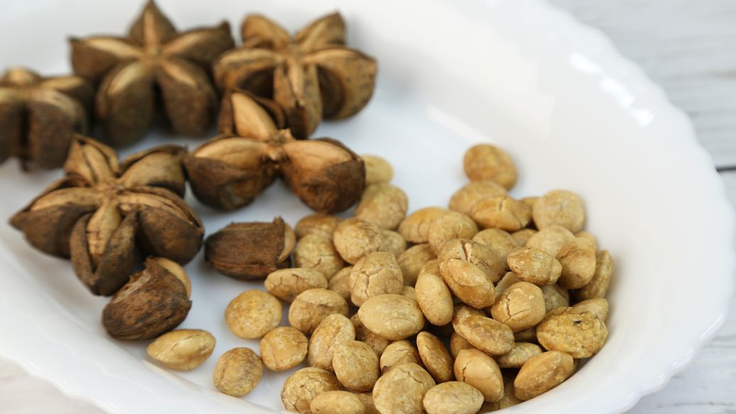 草果仁的功效与作用