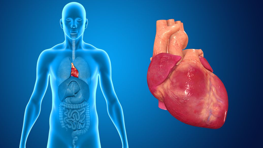 cjc 1295 liver | Shaanxi BLOOM Tech Co., Ltd