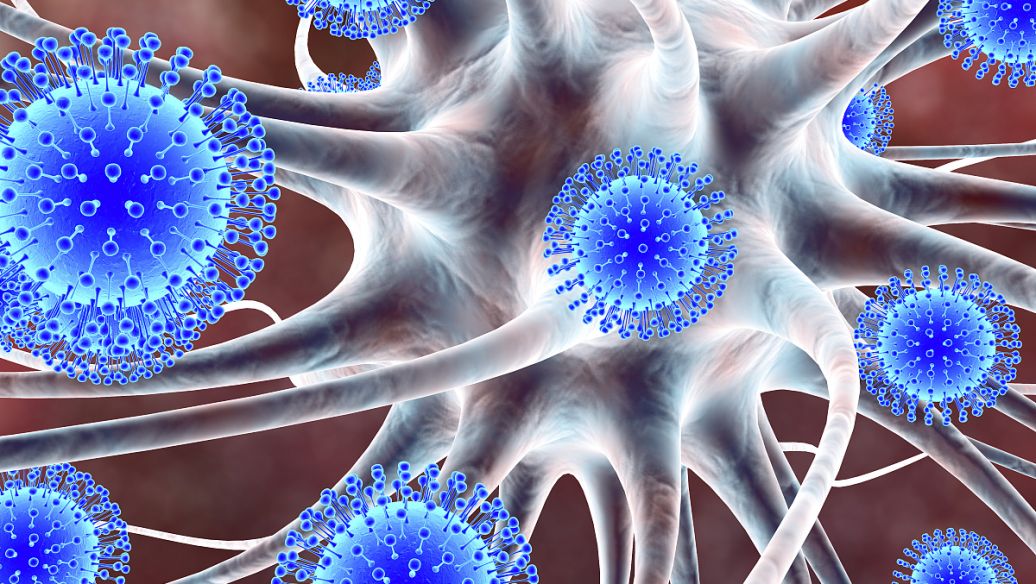 Liposomal Vitamin C interleukins | Shaanxi BLOOM Tech Co., Ltd