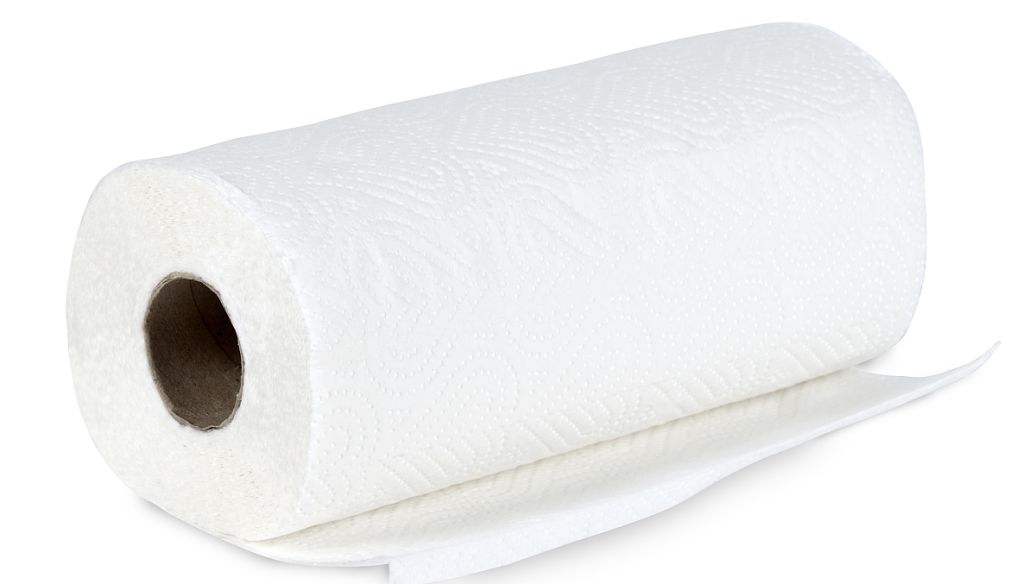 再生聚酯纤维 服装 有机棉T恤