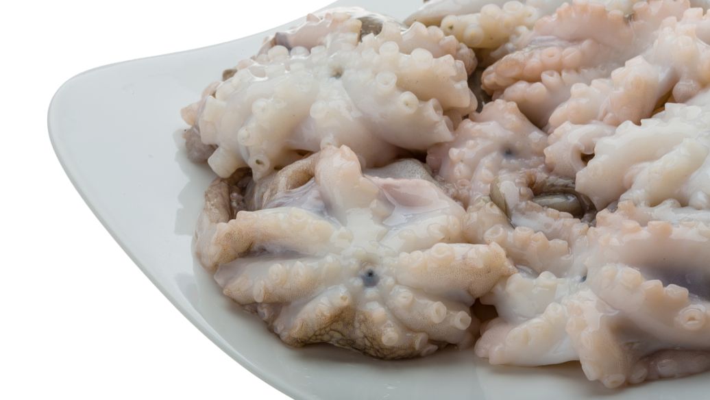 鱼泡的功效与作用