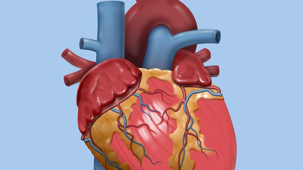 Orforglipron anti-obesity | Shaanxi BLOOM Tech Co., Ltd Orforglipron anti-obesity | Shaanxi BLOOM Tech Co., Ltd