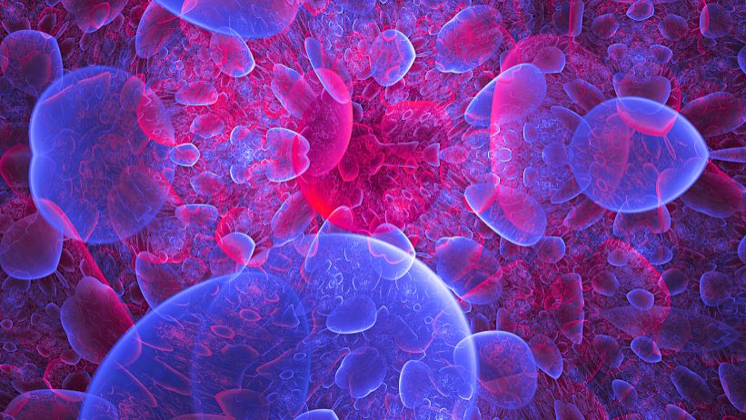 SLU-PP-332 Stress | Shaanxi BLOOM Tech Co., Ltd