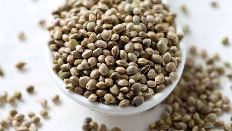 决明子功效与作用