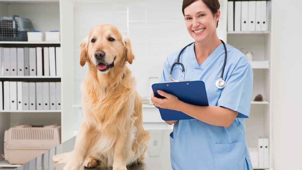 Fluralaner Cost-Effectiveness | Shaanxi BLOOM Tech Co., Ltd Fluralaner Cost-Effectiveness | Shaanxi BLOOM Tech Co., Ltd