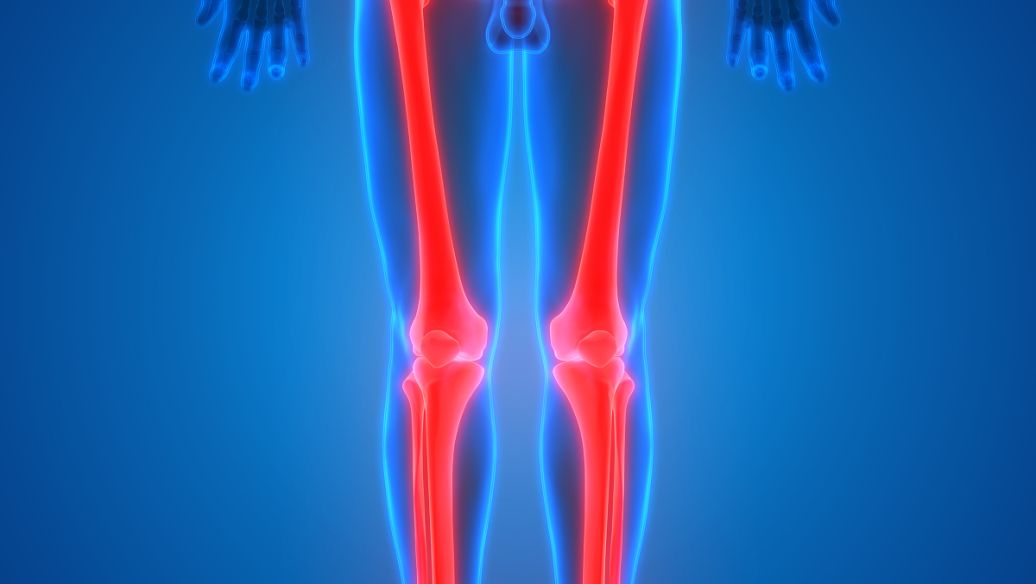 Calcitonin salmon application value | Shaanxi BLOOM Tech Co., Ltd