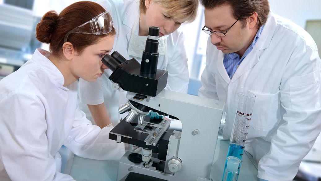 GHK-Cu online | Shaanxi BLOOM Tech Co., Ltd GHK-Cu online | Shaanxi BLOOM Tech Co., Ltd