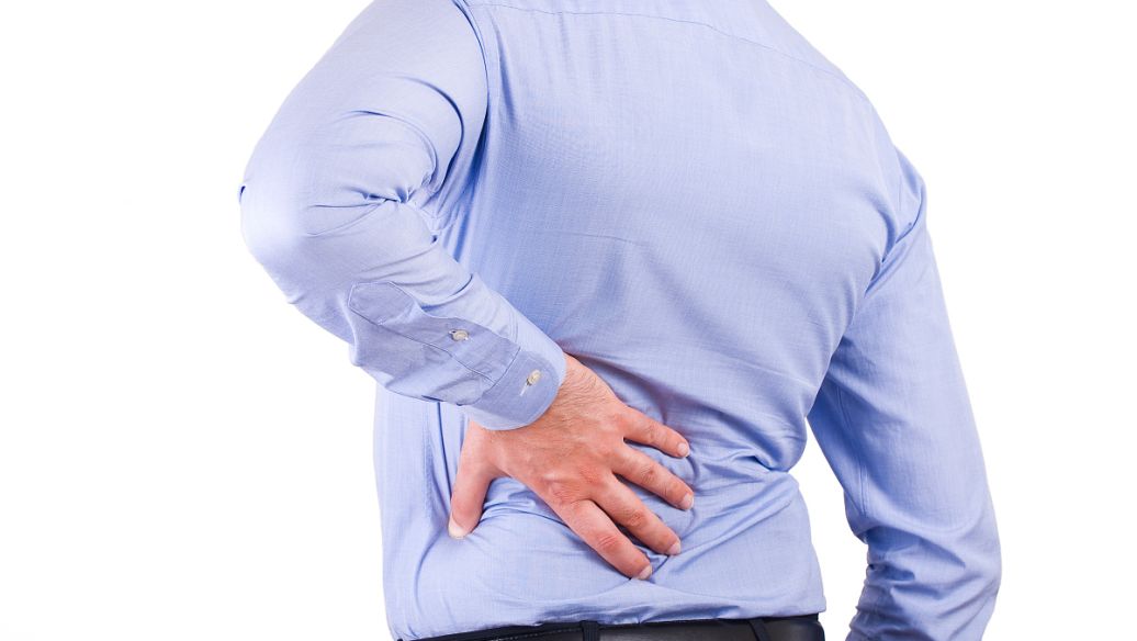 Chondroitin sulfate uses | Shaanxi BLOOM Tech Co., Ltd Chondroitin sulfate uses | Shaanxi BLOOM Tech Co., Ltd