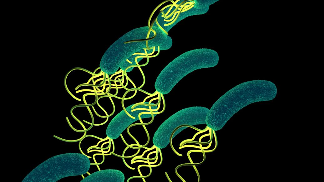 5-Amino-1MQ cost | Shaanxi BLOOM Tech Co., Ltd 5-Amino-1MQ cost | Shaanxi BLOOM Tech Co., Ltd