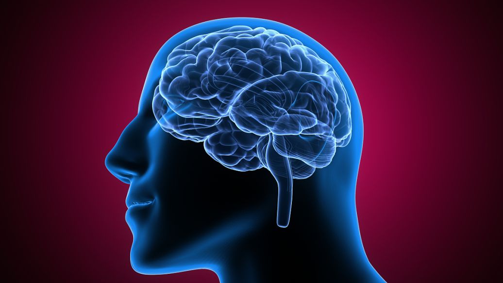 Thymoquinone disease | Shaanxi BLOOM Tech Co., Ltd