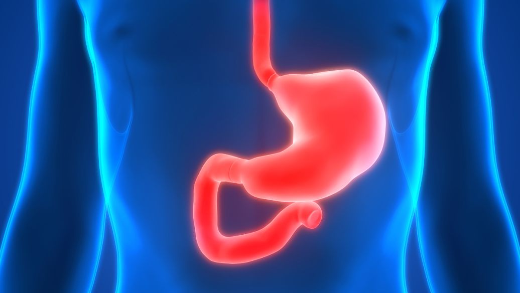 Orforglipron online | Shaanxi BLOOM Tech Co., Ltd Orforglipron online | Shaanxi BLOOM Tech Co., Ltd