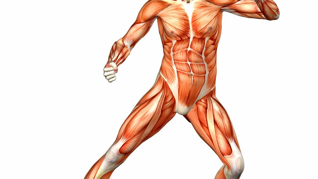 5-Amino-1MQ Rapid Activation | Shaanxi BLOOM Tech Co., Ltd 5-Amino-1MQ Rapid Activation | Shaanxi BLOOM Tech Co., Ltd