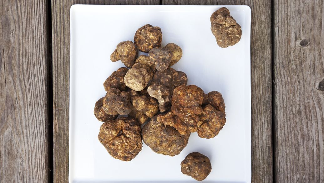 中药肉苁蓉的功效与作用