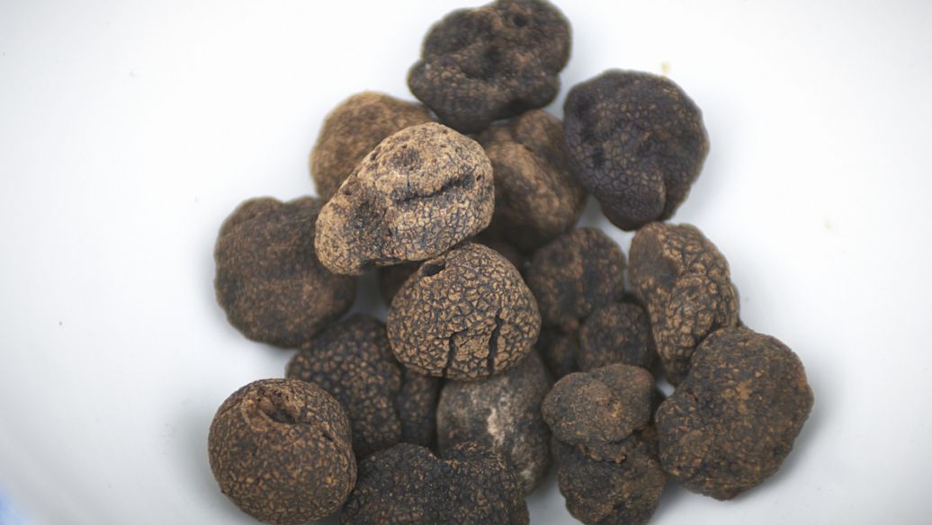 麝香的作用与功效